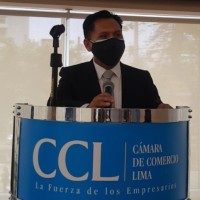 Ever Fredy Mamani Torres