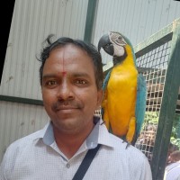 Nagarajan Krishnamurthy