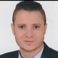 Waleed Arfa