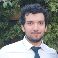 Berke Argın
