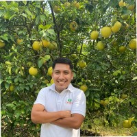 Josue Enmanuel Torres Gonzalez