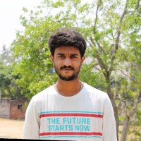 Dilip K