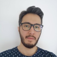 Hadi Alemi