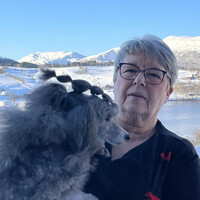 Ann Kristin L Sletnes