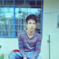 Cristian Daniel Werner Martinez