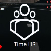 Time Hr Consultant