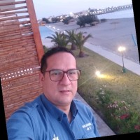 Edinson Saldivar Vasquez. Msc. Ing.Cip.