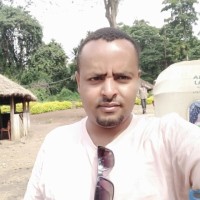 Mulualem Assefa