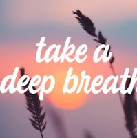 Meditation Vibes
