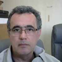 Michele Cavalcanti