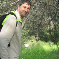 Geva Ravid