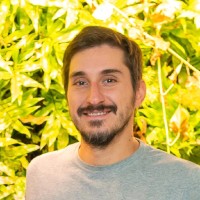 Vito Novelli