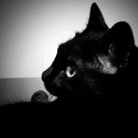 Ricardo Gracia Martínez