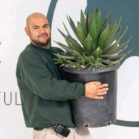Guillermo Monarrez