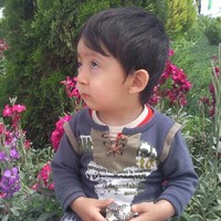 Hamid Jafari