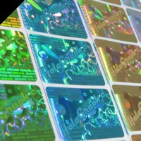 Equipo Holographic