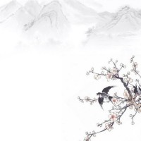 Shanshan Li