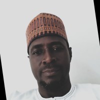 Professor Abdulazeez Balogun Shittu