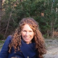 Linn Hollander