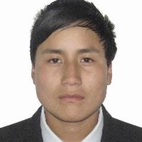 Wilser Huaman Cones