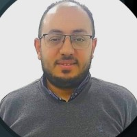 Mohamed Gomaa Abdel Waheed
