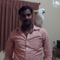 ramanan m