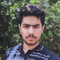 Vishal Bharti