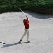 Joe Velotta