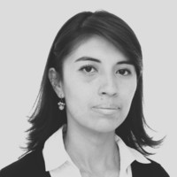 Janneth Angélica Vargas Pedraza
