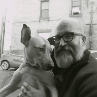 Dan Kelly