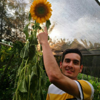 Nelson Andres Rodriguez Pareja