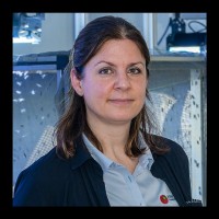 Ann Espeel