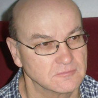 Hermann Kraft