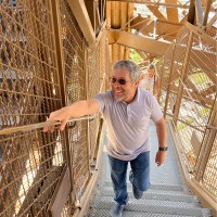 Jose Correa Basurto