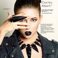 Charles Albert Jewelry