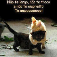 Marcia Dornelles Techio