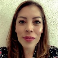 Ana Lucia Limón Gallegos