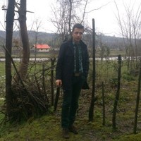 Arman Habibi