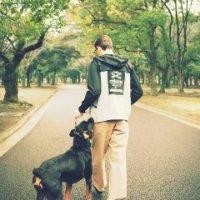 潘俊男