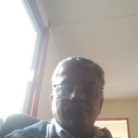 Salim Karol