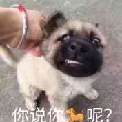 吴宗标