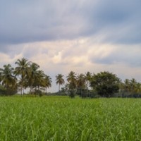Soniya Sonu