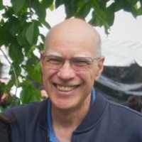 Chris Petti