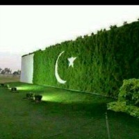 Wafa Ullahjann