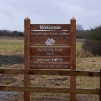 Young People'S Forest