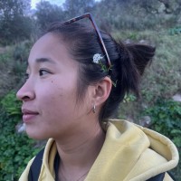 Irene Llorens Ballester