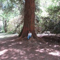 Barbara patricia Riquelme Riquelme