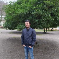 Mohd Tarique Ansari
