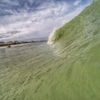 Dan Hassett