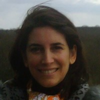 cathy zises